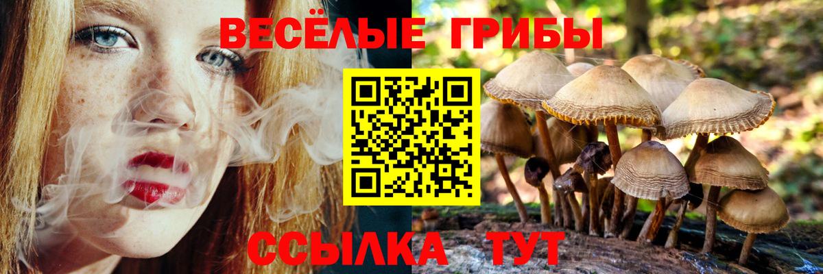 Псилоцибиновые грибы мицелий  Балабаново  Галлюциногенные грибы мухоморы 